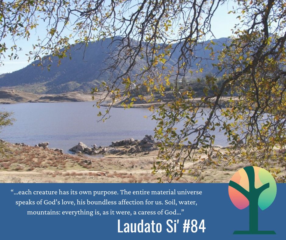 Laudato Si' Lenten Reflection: First Sunday of Lent