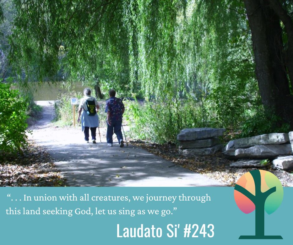 Laudato Si' Lenten Reflection: Second Sunday of Lent