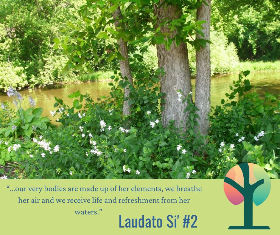 Laudato Si' Lenten Reflection: Third Sunday of Lent