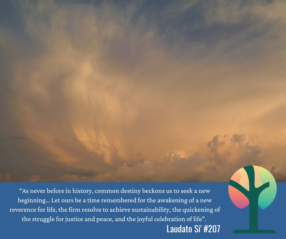 Laudato Si' Lenten Reflection: Fourth Sunday of Lent