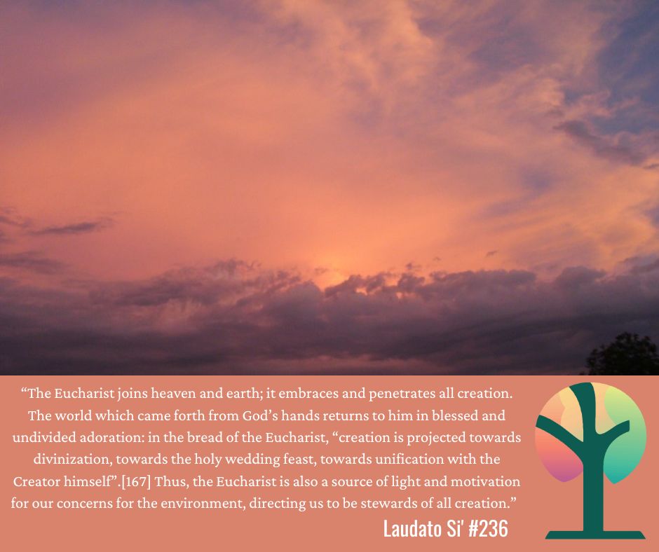 Laudato Si' Lenten Reflection: Palm Sunday